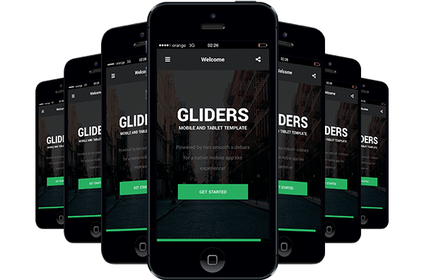 Web漏洞扫描工具