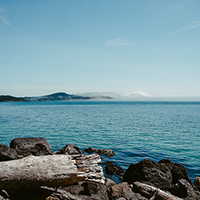 平台在线ddos压力测试