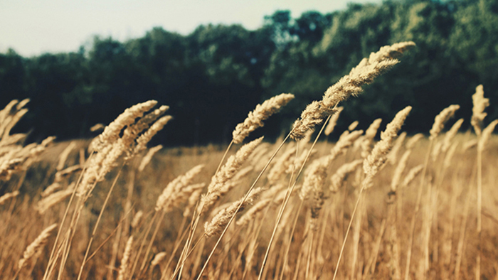 ddos服务器攻击手段